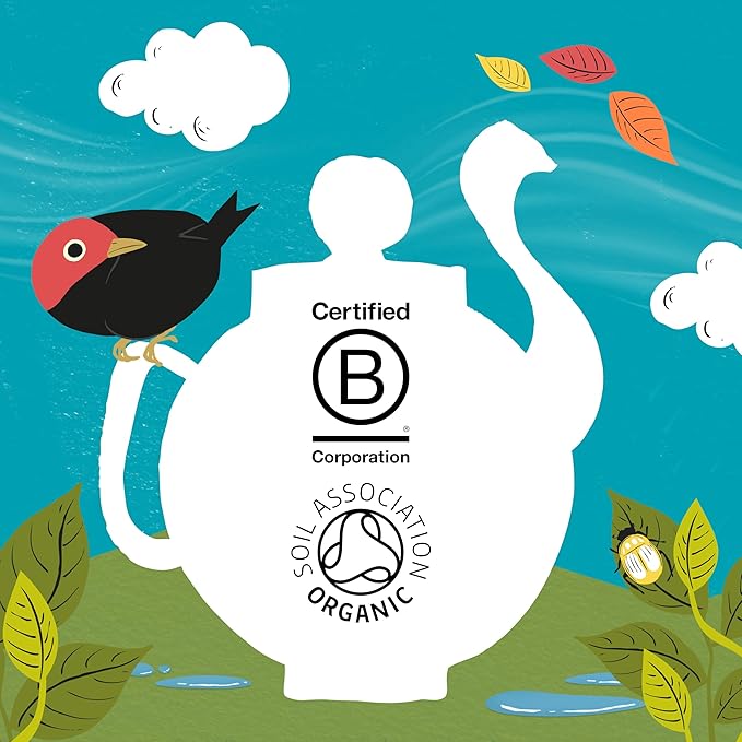 Clipper Tea, Organic Fairtrade Everyday, Organic, USDA Non-GMO, Fair Trade, Sustainable Caffeinated Tea, 1 Pack, 80 Unbleached Tea Bags - Bloomnest