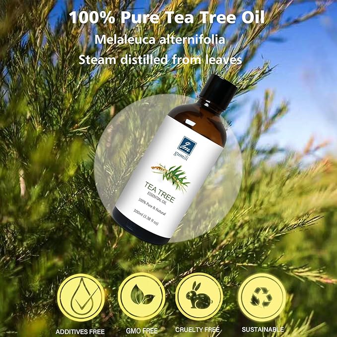 Tea Tree Essential Oil 200ML, Pure Tea Tree Oil for Diffuser Aromatherapy Beauty Care Home Cleansing - Bloomnest