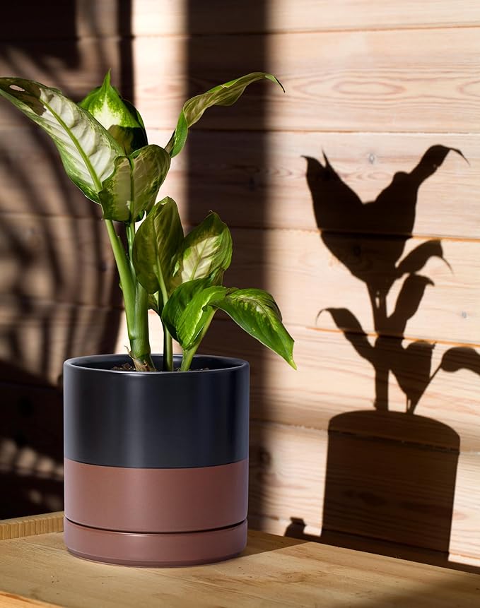 D'vine Dev 4.7 Inch & 6.5 Inch Ceramic Planter Pots for Plants with Drainage Hole and Saucer, Small Plant Pots Set, Black/Speckled Tan, 94-G-S-7 - Bloomnest