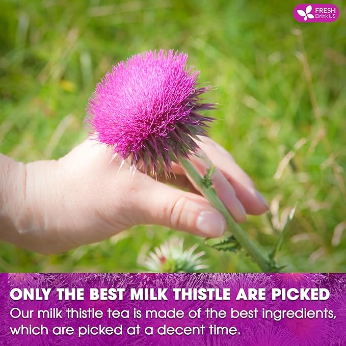FreshDrinkUS, Premium 30 Milk Thistle Tea Bags, 100% Natural & Pure from Milk Thistle Seeds. Milk Thistle Seed Herbal Tea. Made with Natural Material Tea Bags. No Sugar, No Caffeine, No Gluten, Vegan. - Bloomnest