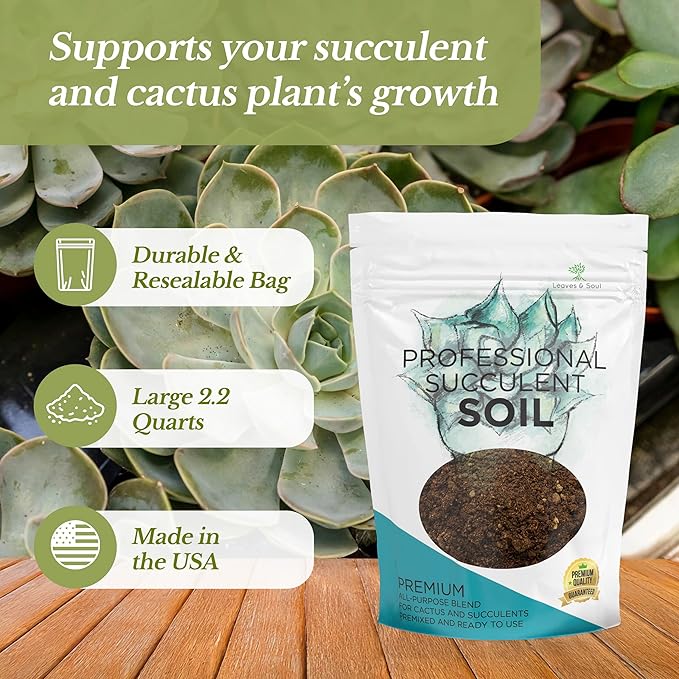Succulent Soil Premium All Purpose Blend | Large 2.2 Quarts | Pre-Mixed Ready to Use for Cactus and Succulents | Canadian Peat, Course Sand, Pinebark | Made in USA - Bloomnest