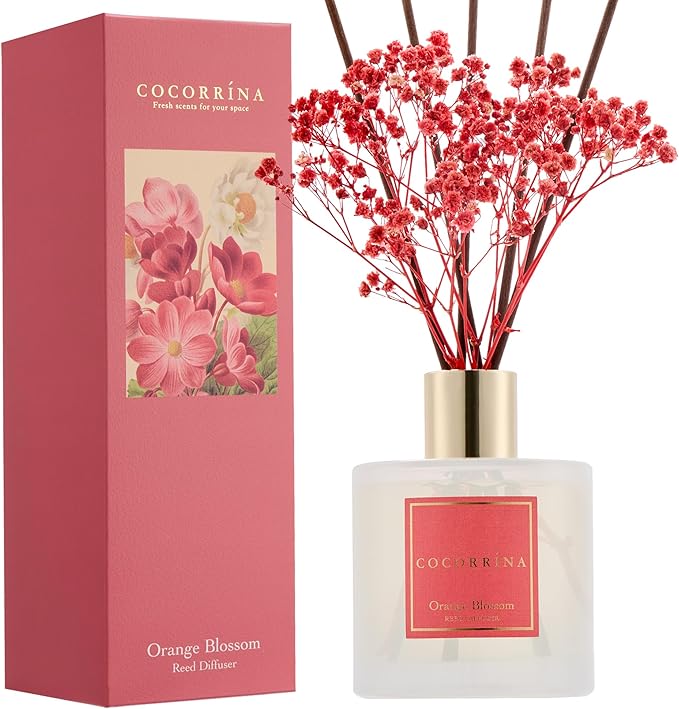 COCORRÍNA Reed Diffuser - Orange Blossom 6.76 Fl.oz Reed Diffuser Sets with Preserved Flowers, Diffuser with 8 Sticks for Bathroom Shelf Decor - Bloomnest