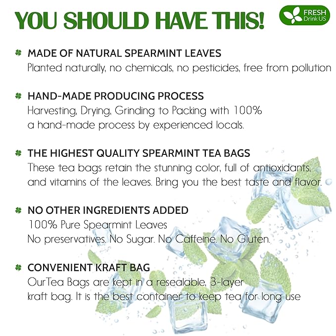 FreshDrinkUS, Premium 45 Spearmint Tea Bags, 100% Natural Spearmint Leaves. Loose Leaf Spearmint Herbal Tea. Spearmint Leaf Tea. No Sugar, No Caffeine, No Gluten, Vegan. - Bloomnest