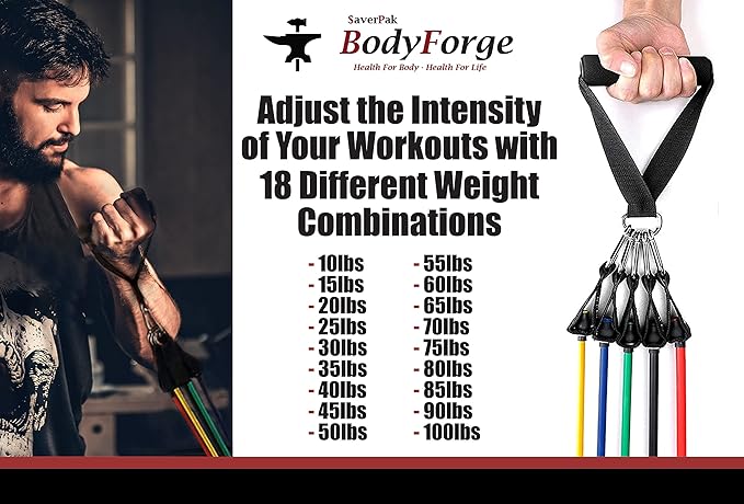BodyForge Resistance Bands, Exercise Bands, Resistance Bands for Working Out, Work Out Bands with Handles for Men and Women Fitness, Strength Training Home Gym Equipment