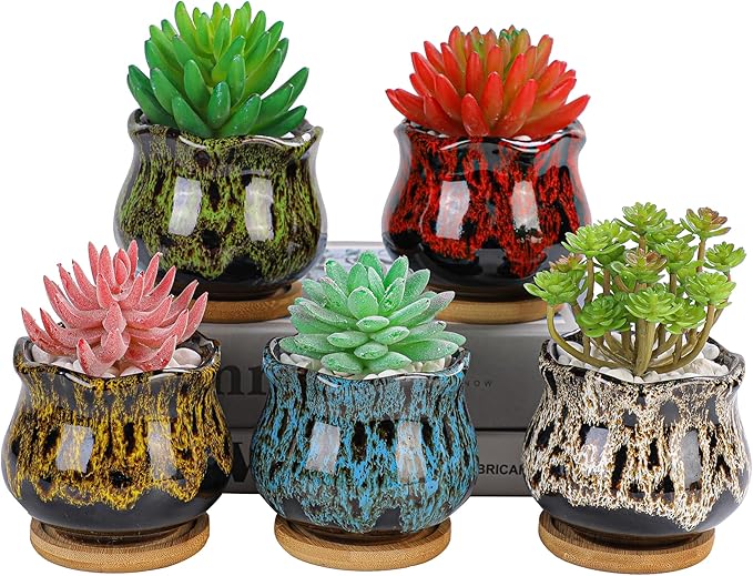 Cute Ceramic Succulent Garden Pots, Planter with Drainage and Attached Saucer, Set of 5 -Plants Not Included (Fambe) - Bloomnest