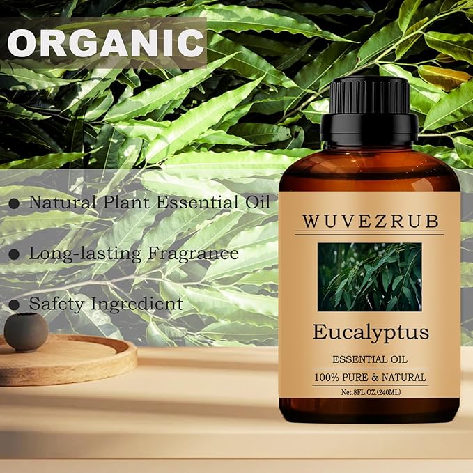 Eucalyptus Essential Oils, 240ML 100% Pure and Natural Essential Oil for Aromatherapy Diffuser - Eucalyptus /8 Fl Oz - Bloomnest
