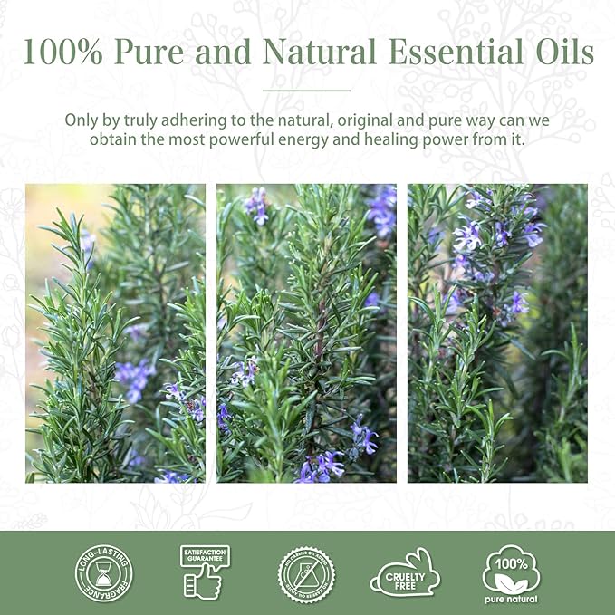 Rosemary Essential Oil 1.01fl.oz/30ml, PHATOIL Premium Rosemary Oils Long Lasting Scents for Aromatherapy, Diffuser, DIY Soap and Candle Making PHATOIL