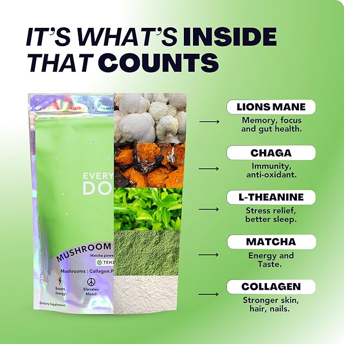 Everyday Dose Mushroom Matcha+ Ceremonial Grade Matcha Powder - Japanese Tea With Grass-Fed Collagen, Lion's Mane, Chaga, L-Theanine - For Better Focus, Energy, Digestion and Immunity - 30 Servings - Bloomnest
