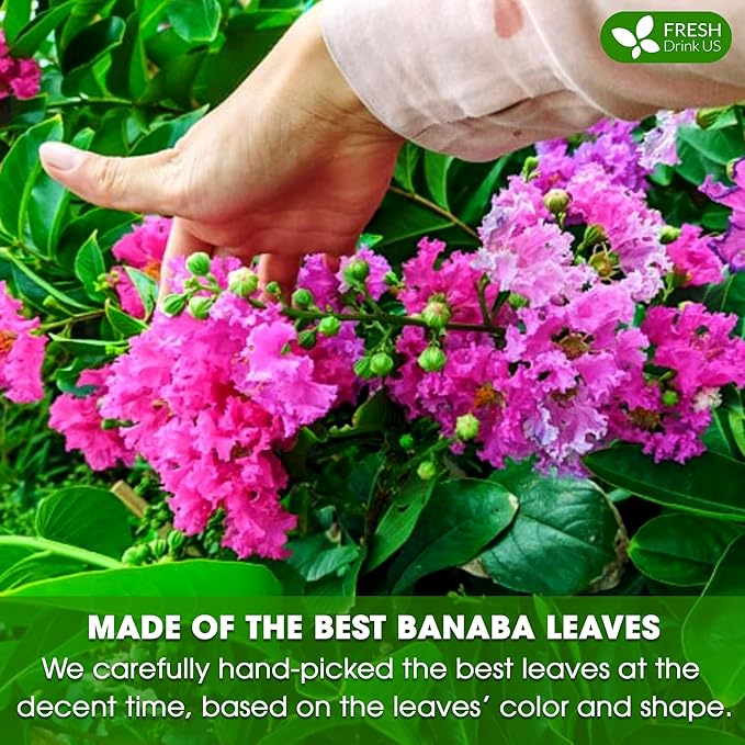 FreshDrinkUS, Premium 40 Banaba Tea Bags, 100% Natural & Pure from Banaba Leaves. Loose Leaf Banaba Herbal Tea. No Sugar, No Caffeine, No Gluten, Vegan. - Bloomnest