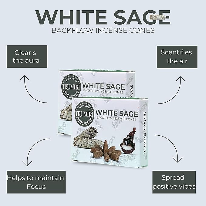 White Sage Backflow Incense Cones - Total 60 Incense Cones Waterfall - Six Packs of 10 Incense Backflow Cones - Waterfall Inscent Cones - Incense Waterfall Cones