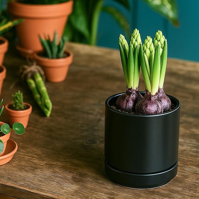 D'vine Dev Set of 2 Plants Pot, 4.7 Inch Ceramic Planter Pot for Plants with Drainage Hole and Saucer, Black, 94-V-B-2 - Bloomnest