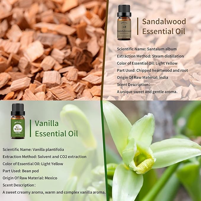 yethious Vanilla Sandalwood Essential Oils for Diffuser & Aromatherapy Pure Natural Organic Vanilla Oils Set - 2PCS 10ML - Bloomnest
