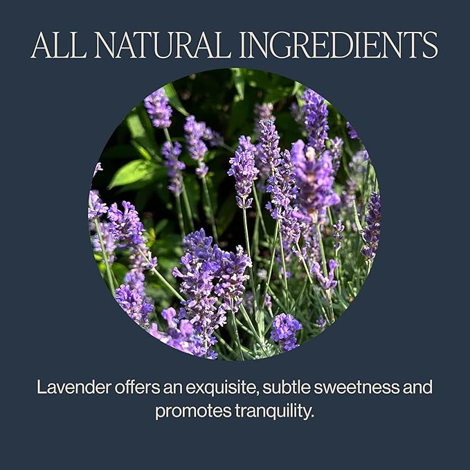 Rishi Tea Lavender Mint Herbal Tea - Organic, Caffeine Free Sachet Bags, Calming Lavender with Peppermint & Sage - 15 Count (Pack of 6) - Bloomnest
