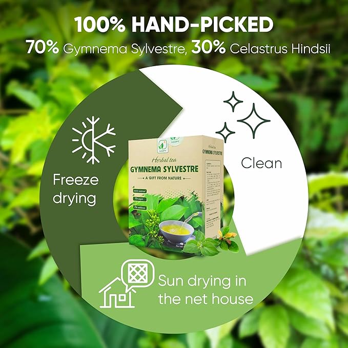 NMPT Dried Gymnema Sylvestre Leaf Tea, Celastrus Hindsii, 100% Hand Pick, Organic Herbal Tea, 40 Count, Freeze Drying, Gluten Free, Dairy Free, No Sugar Added, Energy Boost & Health Support - Bloomnest
