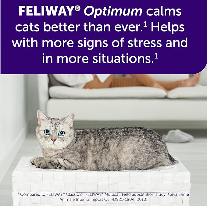 FELIWAY Aroma Diffuser, Optimum Cat, Enhanced Calming Pheromone, 48 mL | 30 Day | Starter Kit | Translucent | Pack of 2 - Bloomnest