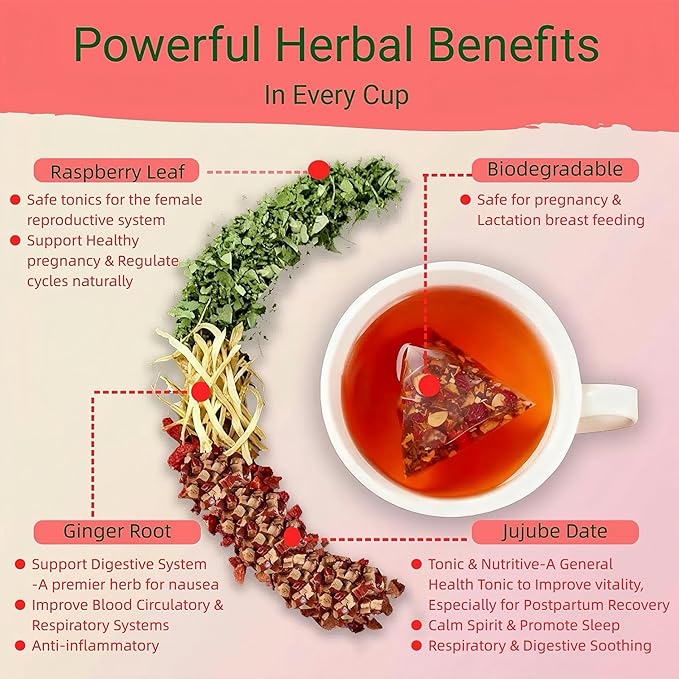 Organic Raspberry Leaf & Ginger Tea for Hormone Balance,Fertility & Pregnancy with Jujube - Caffeine-Free Traditional Herbal Tea for Breastfeeding,Postpartum,Lactation,PMS & PCOS Support - 20 Tea Bags - Bloomnest