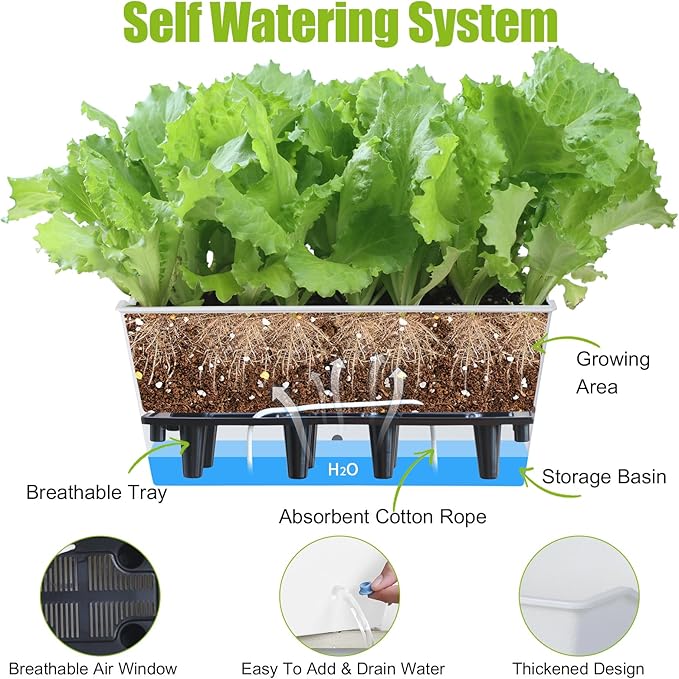 Window Box Planter 6 Pcs, 16.5 Inches Self Watering Rectangle Flower Plant Pots with Drainage Holes Trays, Vegetable Planters for Windowsill Patio Garden Balcony Porch Yard (White) - Bloomnest