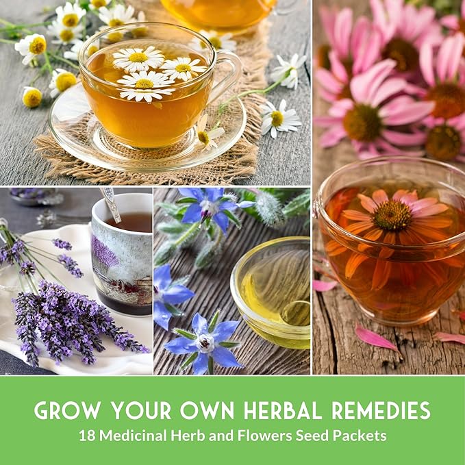 Medicinal Herb Seeds for Planting | 18 Seed Variety Pack of Heirloom, Non-GMO Herbs – Herbal Teas, Tinctures & Home Apothecary Garden Kit – Survival Garden Seeds - Bloomnest
