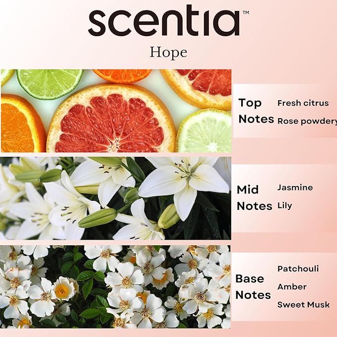 Chance-Inspired Diffuser Oil Refill- Scentia Hope Dupe Fragrance Oil Blend, Home Luxury Scents, Essential Oil Sets for Aromatherapy, Humidifiers & Candle Making | 50ml, 1.69FlOz, Mothers Day Gift Scentia