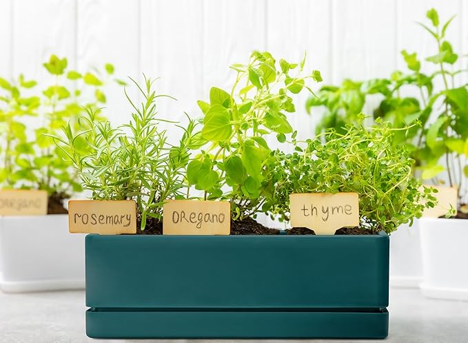 D'vine Dev 12 Inch Window Box Planter, Rectangle Plastic Herb Planter with Drainage Holes and Saucer, Indoor Succulent Cactus Vegetable Pot for Windowsill, Garden Balcony, Green, Set of 2, 76-X-C-2 - Bloomnest