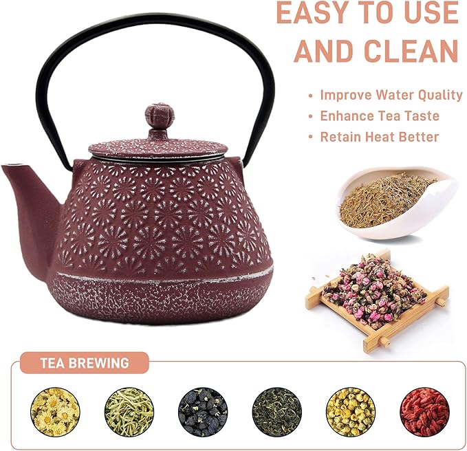 Cast Iron Teapot, 20.3oz Small, Enameled Interior, Stainless Steel Infuser for Loose Tea (Pink Gerbera Pattern) - Bloomnest