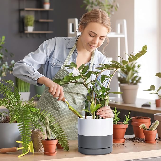 D'vine Dev Set of 2 Plants Pots, 8.2 Inch Ceramic Planter Pot for Plants with Drainage Hole and Saucer, White/Speckled Grey, 94-V-D-6 - Bloomnest