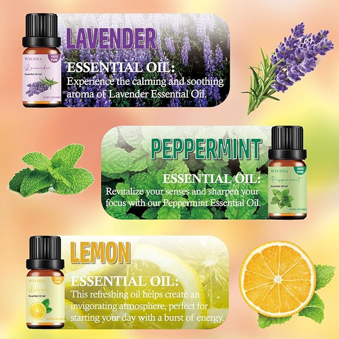 Pure Essential Oil Set - Top 6 Aromatherapy Oils Set, Essential Oils for Diffusers for Home - Peppermint, Lavender, Eucalyptus, Lemongrass, Rosemary, Lemon - 10ml x 6 - Bloomnest