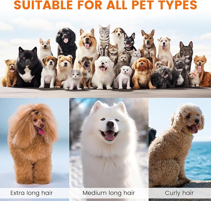 Dog Grooming Vacuum, Dog Grooming Kit with Pet Clippers, 12,000Pa Pet Hair Vacuum for Dogs, Low Noise Home Cleaning Tool in 1, PG10 - Bloomnest