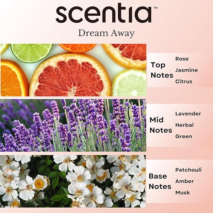 Scentia Fragrance Oil Blend, Inspired by Iconic Perfume, Home Luxury Scents, Essential Oil Blend for Aromatherapy Diﬀusers, Humidifiers & Candle Making -Dream Away 20ml, 0.67 Fl Oz, Mothers Day Gift Scentia