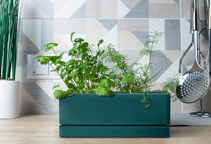 D'vine Dev 12 Inch Window Box Planter, Rectangle Plastic Herb Planter with Drainage Holes and Saucer, Indoor Succulent Cactus Vegetable Pot for Windowsill, Garden Balcony, Green, Set of 2, 76-X-C-2 - Bloomnest