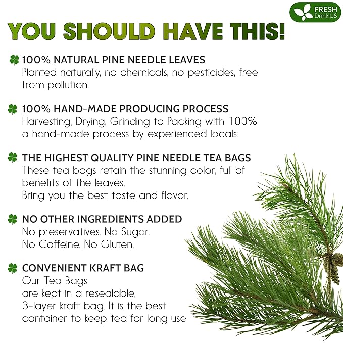 FreshDrinkUS, Pine Needle Tea Bags – 75 Tea Bags, Naturally Caffeine-Free, Refreshing Herbal Tea, Wild-Harvested Pine Leaves, Aromatic and Soothing – Non-GMO & Eco-Friendly Packaging - Bloomnest