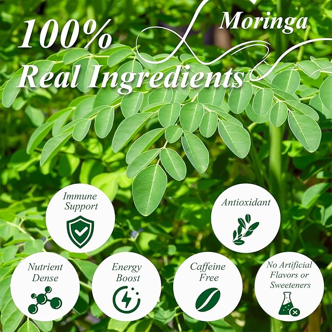 WT WEETEE Moringa Tea Bags 100 Count, 100% Pure Dried Moringa Leaves, Caffeine Free Nutrient-Dense Herbal Tea, Earthy Spinach Aroma & Bold Fermented Bean-Like Flavor - Bloomnest