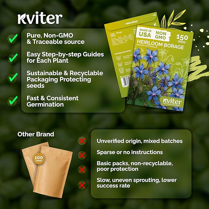 KVITER 150 Borage Seeds (Borago officinalis) - Blue Strawflower, Edible Flower for Teas, Attracts Pollinators - Organic & Heirloom Herb Seeds for Planting in Outdoor & Indoor Garden, Beds, Containers - Bloomnest