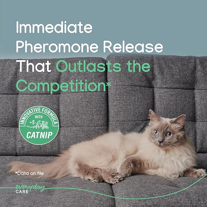 Virbac Zenifel Gel Diffuser for Managing Stress-Related Behaviors in Kittens & Cats - No Electricity Needed - Lasts Up to 2 Months - 1 Diffuser - Bloomnest
