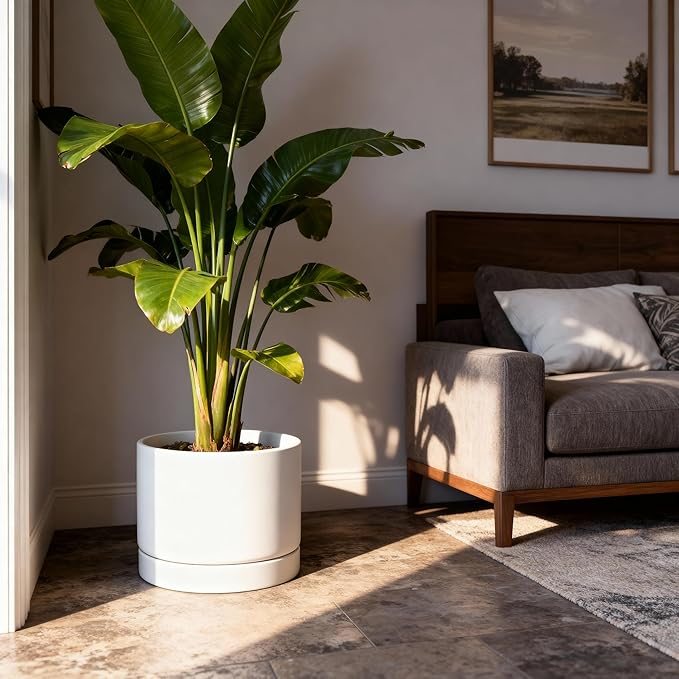 Aveyas 10 inch Ceramic Plant Pot with Drainage Hole and Saucer - Suitable for Indoor and Outdoor Use, Modern Planters for House Garden Flower Tree Snake Monstera Plants (10", Matte White) - Bloomnest
