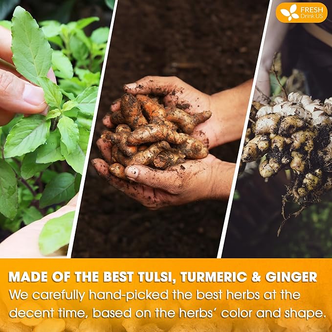 FreshDrinkUS, Premium 75 Tulsi Turmeric Ginger Tea Bags, 100% Natural & Pure from Tulsi Holy Basil Leaves, Turmeric and Ginger. Made with Natural Material Tea Bags. No Sugar, No Caffeine, Vegan. - Bloomnest