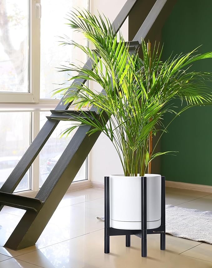 D'vine Dev Ceramic Planter with Ebony Stand - 12 Inch Modern Round Flower Pot with Wood Planter Holder, White, 55-B-H-1 - Bloomnest