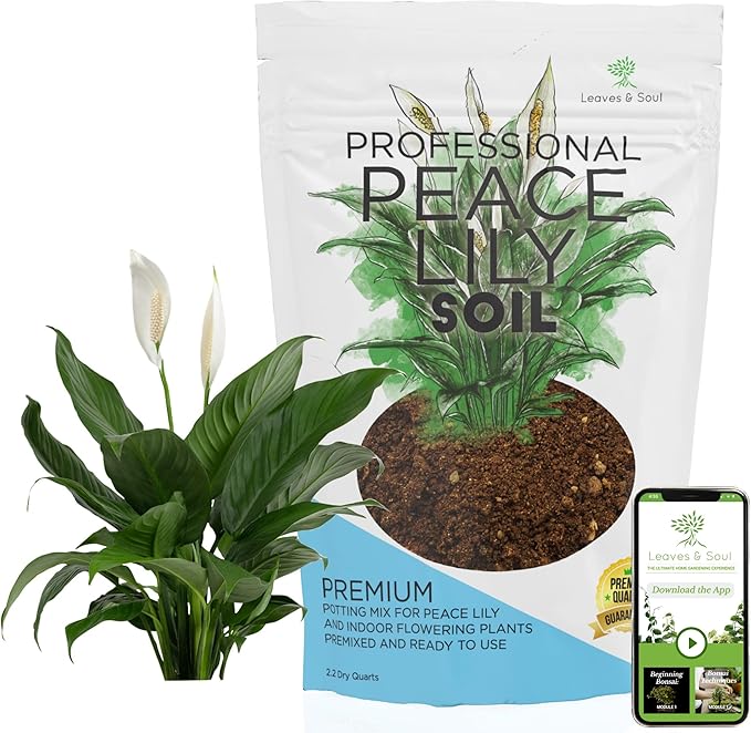 Professional Peace Lily Soil | Large 2.2 Quarts Ready to Use for Peace Lily Plants | Peat Moss, Coco Coir, Perlite, Dolomite | Made in USA - Bloomnest