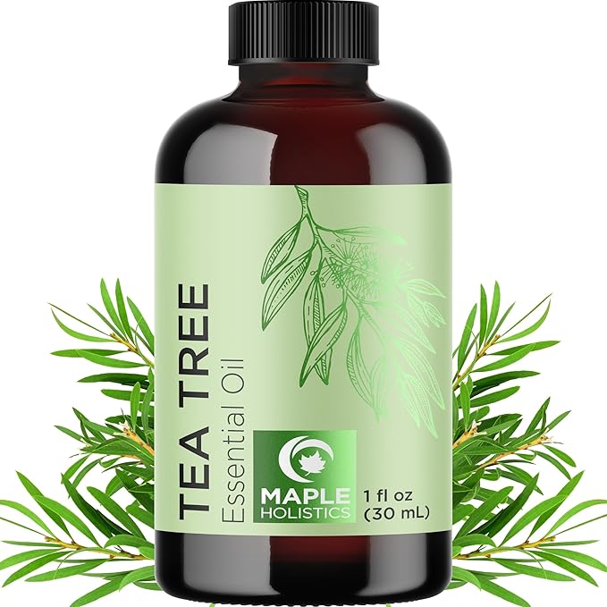 Pure Tea Tree Oil for Hair Skin and Nails - 100% Pure Undiluted Tea Tree Essential Oil with Dropper for Topical Uses Aromatherapy Diffusing and Home and Beauty DIYs - Vegan and Cruelty Free (1 Fl Oz) - Bloomnest