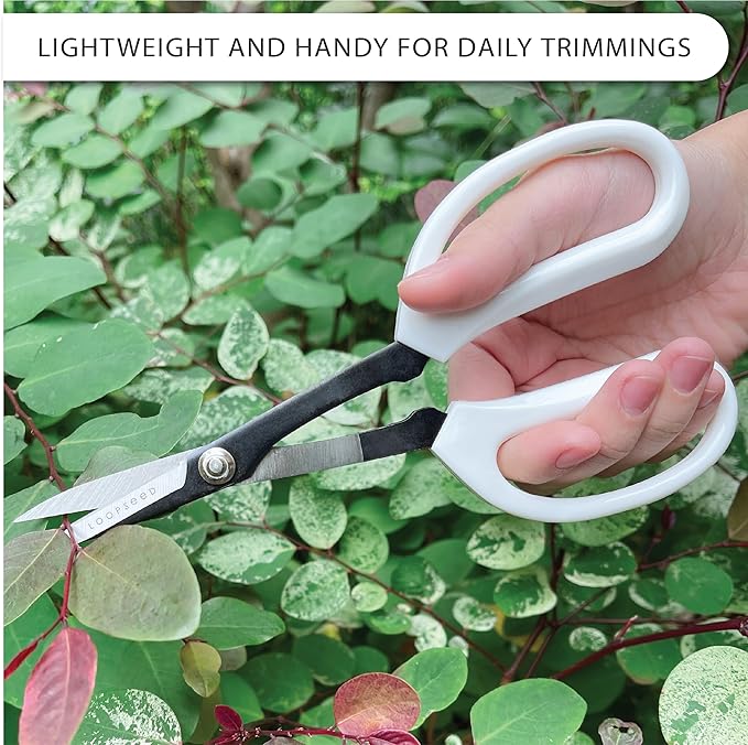 Precision Gardening Scissors Plant Trimming Pruning Shears Garden Pruners for Orchid Bonsai Hydroponic Flower Clipper Garden Snip 8 Inch Long - Bloomnest