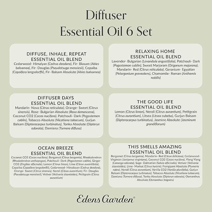 Edens Garden Essential Oils Diffuser 6 Set – 100% Pure Therapeutic Grade Aromatherapy Blends For Stress Relief, Focus & Sleep Support – Undiluted & Natural - For Home, Office & Wellness, 10 ml/ 6 Pack - Bloomnest