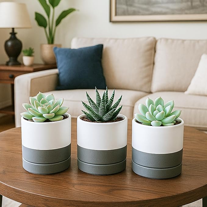 D'vine Dev Set of 4 Small Ceramic Plant Pots, 3.5 Inch Succulent Planter Pot for Plants with Drainage Hole and Saucer, White/Speckled Grey, 94-X-A-6 - Bloomnest
