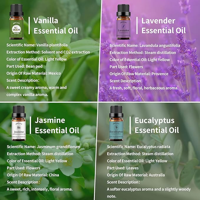 yethious 4 Pack Lavender Jasmine Vanilla Eucalyptus Essential Oil Set Vanilla Essential Oil for Diffuser, Soap/Candles Making Jasmine Essential Oil - Lavender, Jasmine, Vanilla, Eucalyptus - Bloomnest