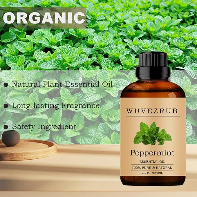 Peppermint Essential Oil, 120ML Pure and Natural for Aromatherapy Diffuser - 4 Fl Oz - Bloomnest
