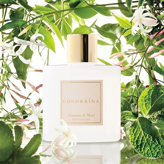 COCORRÍNA Reed Diffuser - Jasmine & Mint 6.7 Fl.oz Reed Diffuser Set with Sticks & Preserved Baby's Breath, Reed Diffuser for Home Bathroom Shelf Decor - Bloomnest