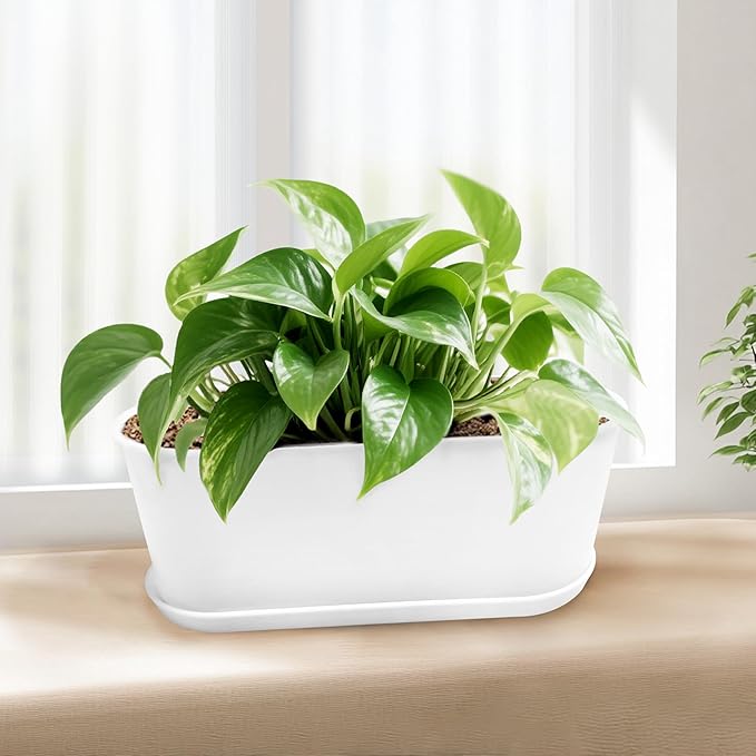 5 Set Window Herb Planter Box Rectangular,8.5x3.5 Inch White Plastic Planters with Multiple Drainage Holes and Trays,Indoor Succulent Cactus Mint Flower Pot for Windowsill,Garden Balcony - Bloomnest