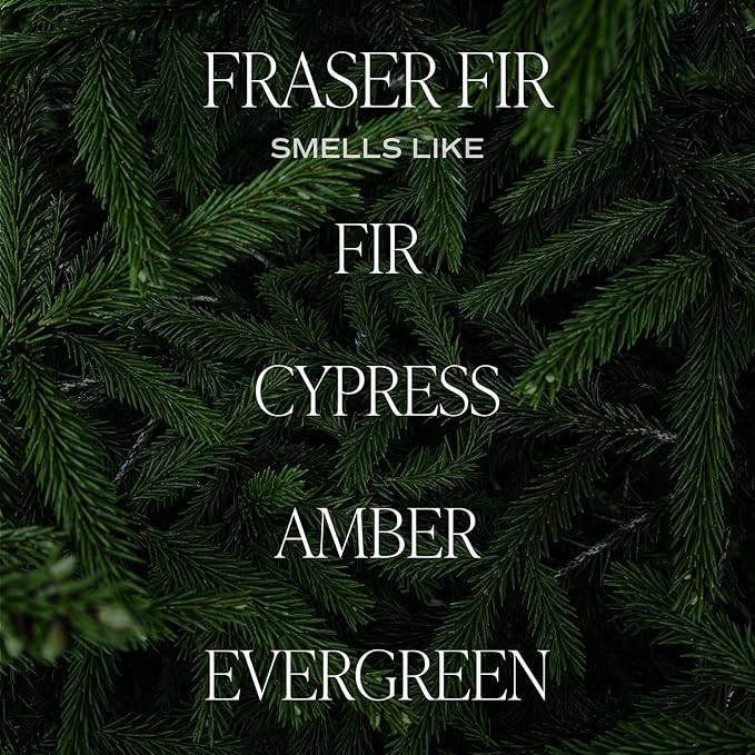 Sweet Water Decor Fraser Fir Candle - Evergreen, Cedar, Winter Holiday Scented Soy Christmas Candles for Home - 9oz Clear Jar, 40 Hour Burn Time, Made in The USA - Bloomnest