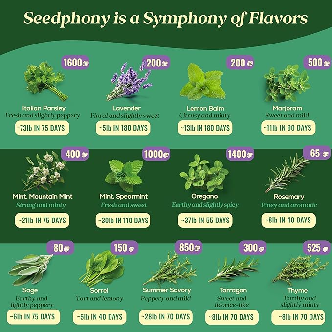 25 Culinary Herb Seeds Variety Pack - 13,055+ Non-GMO Heirloom Herbs Seeds for Planting Indoor & Outdoor: Rosemary, Basil, Catnip, Cilantro, Dill, Parsley, Oregano, Thyme, Mint, Tarragon, Lavender - Bloomnest