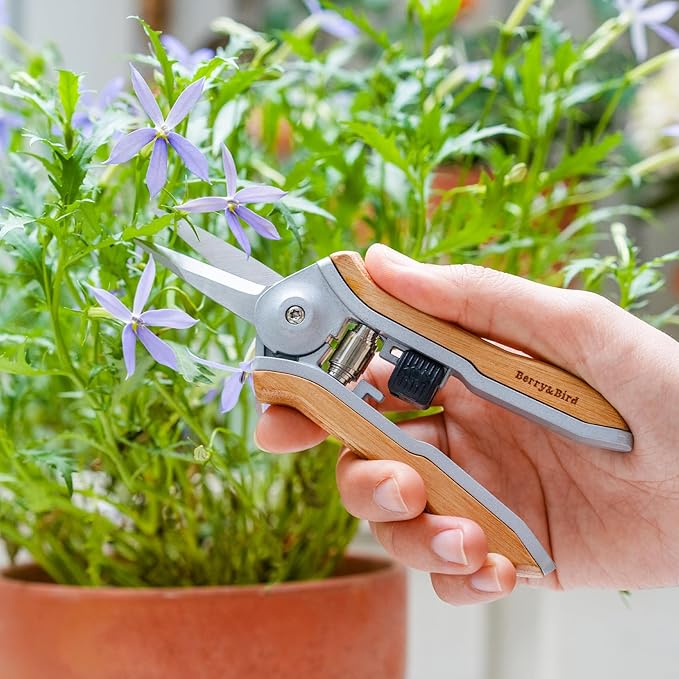 Berry&Bird Mini Pruning Shears for Gardening Straight Blades Hand Pruners with Wooden Handle Garden Scissors Snips Stainless Steel Trimming Small Clippers Bonsai Compact Size Shearing Tool - Bloomnest