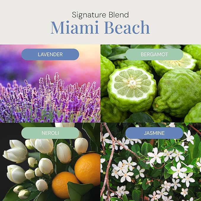Miami Beach Aroma Oil, Essential Oils Blend for Diffusers & Scent Machines, Fresh Cologne Scent with Citrus & Musk Notes, Aromatherapy, Cold Air Diffuser Compatible, 100 mL - Bloomnest